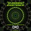Transient Existence (Compiled by Osciloptix)