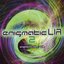 enigmaticLIA 2 [Disc 1] HARDCORE SIDE