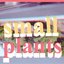 small plants