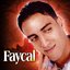 Best of Cheb Faycal - 42 Songs