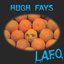 L.A.F.O.: Music Dedicated to the Genius of Karl Pilkington