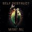 Self Destruct