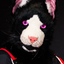 Avatar de bruckdahousecat