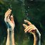 peel the surface - Single