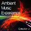 Ambient Music Experience, Vol. 2