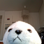 Avatar for anttilaakso