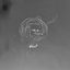 Thief - Single