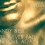 I'll Never Fall In Love Again (Goetz Extended Mix) - Single