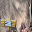 Car Driver 2