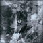 PHANTOM - Single