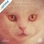 Suara (Remixes)