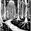Land Beyond The Forest