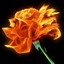 Avatar for sasmoonbeam