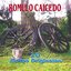 20 Éxitos Originales