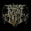 Disposition - Single