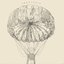 Parachute