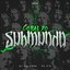 CORAL DO SUBMUNDO