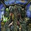 Clans Of The Alphane Moon