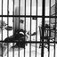 Prisoner of Desire - Single
