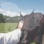 Horse Saturday
