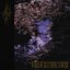 World Of Scattering Flowers - EP