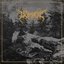 Shallow Graves - Single