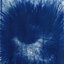 Seethe