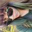 Avatar for spaceshipsfly