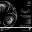 Ejecta