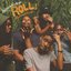 Roll (Burbank Funk) - Single