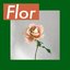 Flor