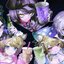 Team Tomodachi
