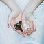 Wings Of A Butterfly - Single