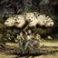 Tales of Purefly [Explicit]