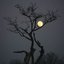 The Lonely Tree (Rain)
