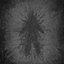 Petrified Against the Emanation
