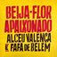 Beija-Flor Apaixonado - Single