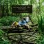 Animals Of The Forest