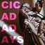 Cicada Days