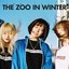 THE ZOO IN WINTER