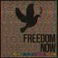 Freedom Now