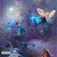 Butterflies out the Window