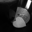 Avatar de Domiwa