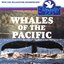 Whales Of The Pacific