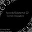 Accordo / Substantive 22