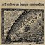 A Treatise on Human Combustion