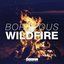 Wildfire - Single