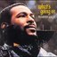 Marvin Gaye - What's Going On