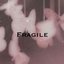 FRAGILE