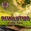 Revolution Compiled By Atomic Pulse